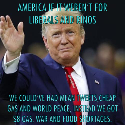 Liberals Rinos 1