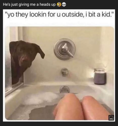 FB_IMG_1656522643819