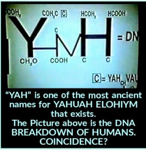 Screenshot_2022-06-02-07-34-05-654_com.adobe.spark.post~2