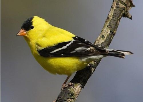 Screenshot_20220502-114903_Samsung Internet