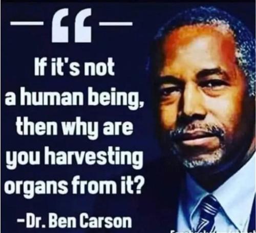 ben carson c