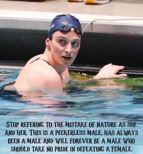 FB_IMG_1647689311973