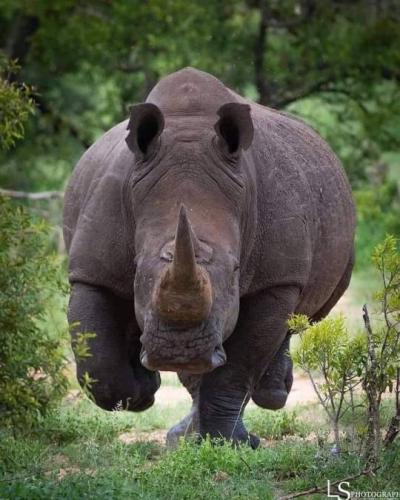 tumblr_9d80bc386fbda7747c80e7b066de7402_3097146b_540