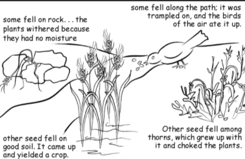 Screenshot_20220610-082247-378