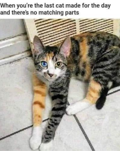 285815011_1831872920490619_4430955077795306916_n