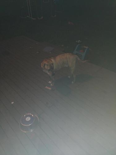 IMG_20220619_213401175