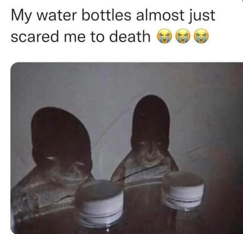 FB_IMG_1656100486436