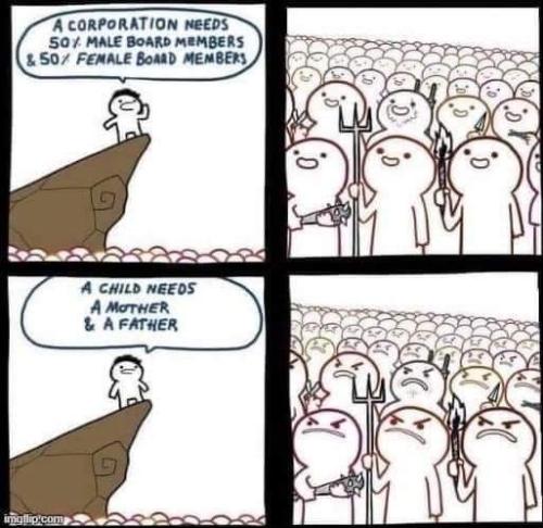 FB_IMG_1655054358232