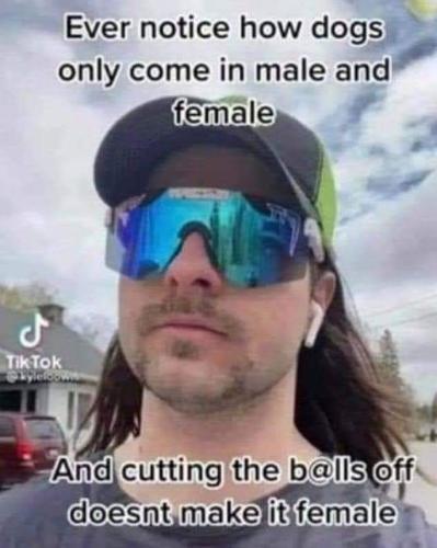 IMG_20220611_125627_774