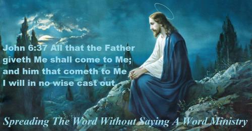 51100935_2156715717743881_7499724428868059136_n