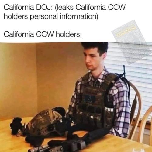 tumblr_d4268aa7eb290733a079360b34992e6d_5143a358_640