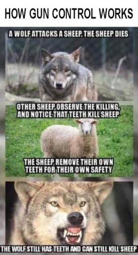 HOW GUN CONTROL WORKS