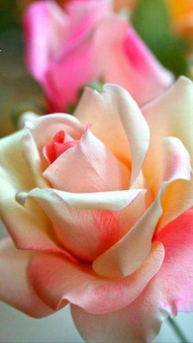 10:01:31 GMT-0500 (CDT)