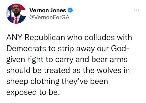 Guns GOP 1