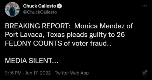Election Fraud 2