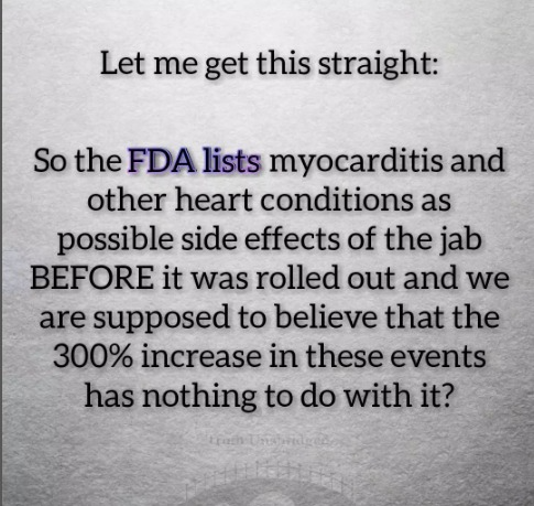 captures_chrome-capture-2022-5-1 (10)