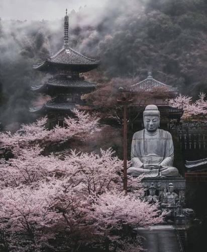 285854532_5015445651826592_527489703131249813_n