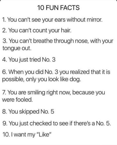FB_IMG_1655754826344
