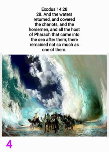 Screenshot_20220611-152554_Gallery~3