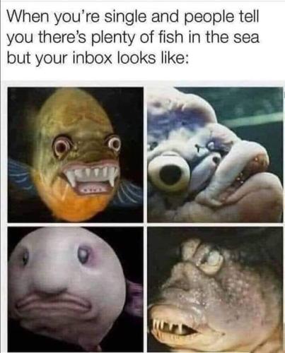 FB_IMG_1655211531128