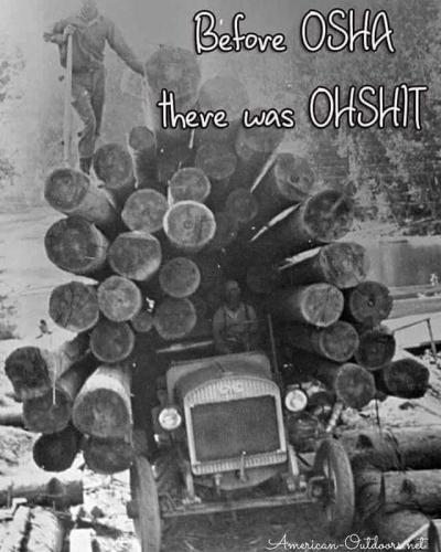 285490716_1018362085479215_1331730797503299255_n