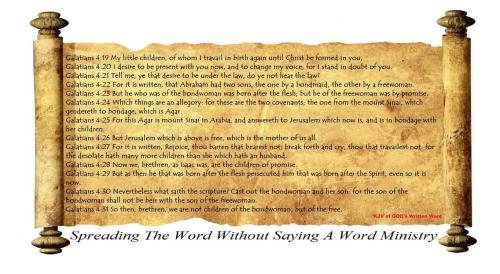 12496147_1018990594849738_2092062122372054310_o