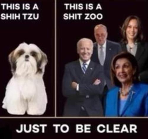 FB_IMG_1655179993684