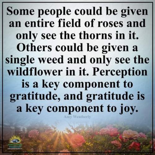 287593846_559034142495576_1430887409785273523_n