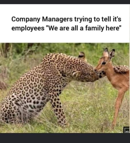 FB_IMG_1656604287636