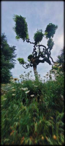 Picsart_22-06-06_18-21-11-651