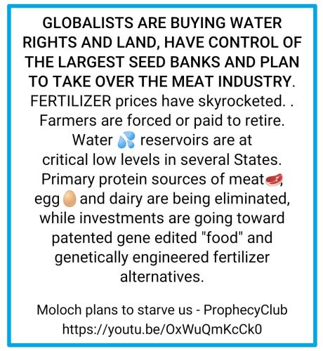 Screenshot_2022-06-07-11-15-31-482_cn.wps.moffice_eng~2