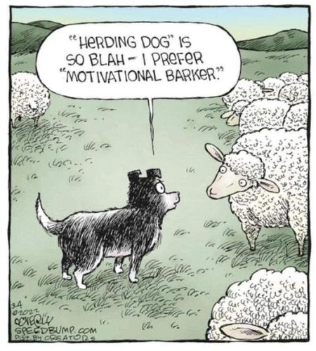 284416985_1929769423876040_7141024206814639527_n