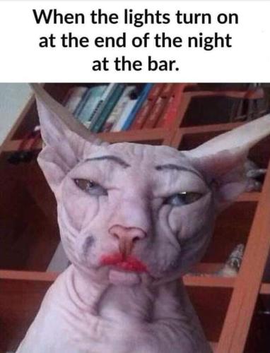 FB_IMG_1654699168447