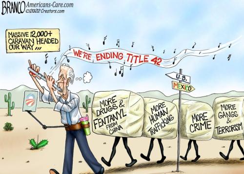 02-pied-biden-ac-1080-1050x750