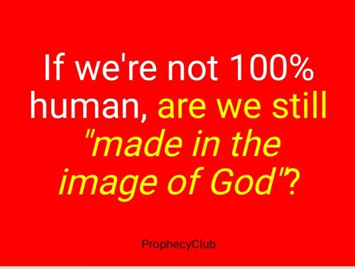 Screenshot_2022-06-02-14-06-12-954_cn.wps.moffice_eng~2