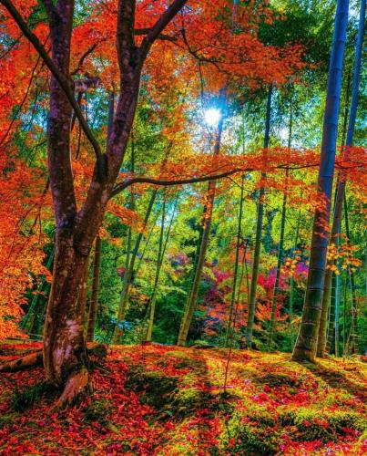 285886570_542085270879282_6211164217079940160_n