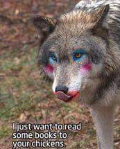 IMG-76e2af3d3ae061db96dc24845424b010-V