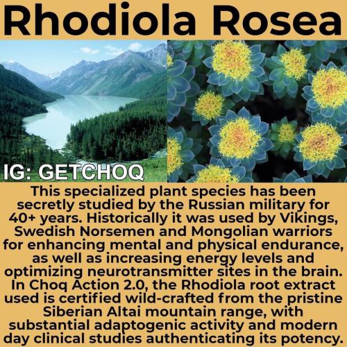 287557369_1134822010417853_771374261260714239_n