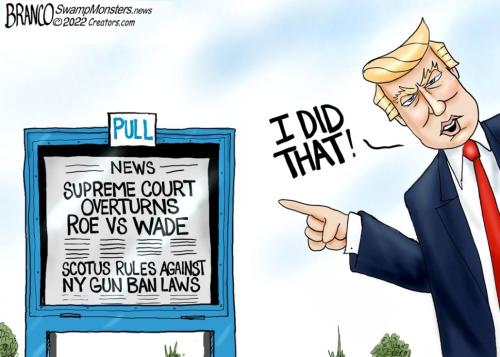 Branco_trump_did_it