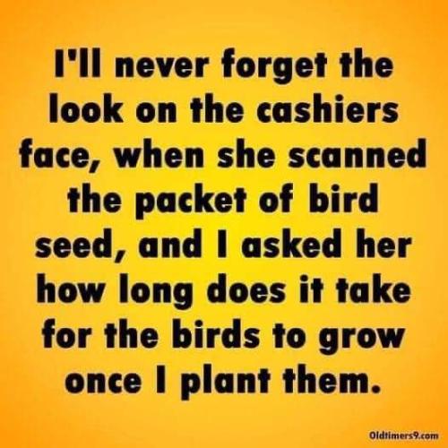 FB_IMG_1655141378912
