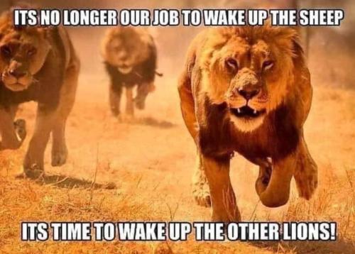 FB_IMG_1644457503519