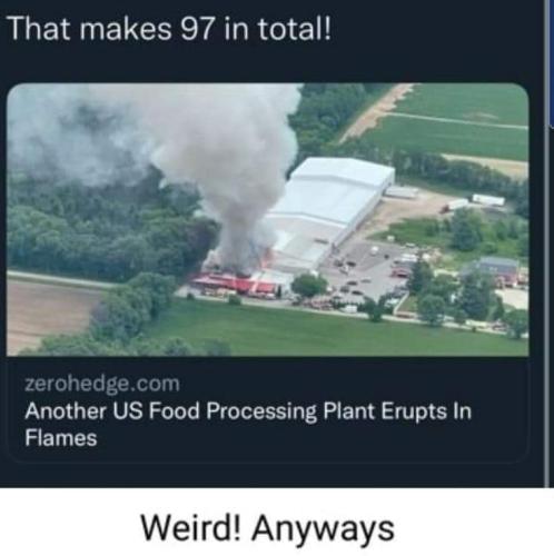 FB_IMG_1655926226608