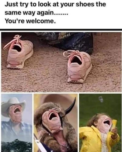 FB_IMG_1656445126957