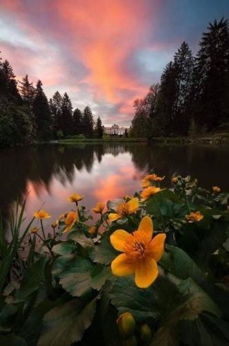 22:32:23 GMT-0500 (CDT)