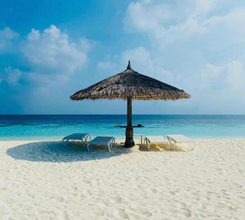 WhatsApp Image 2022-06-30 at 9.54.59 AM