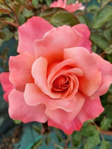 19:48:17 GMT-0500 (CDT)