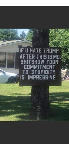 FB_IMG_1656333315306