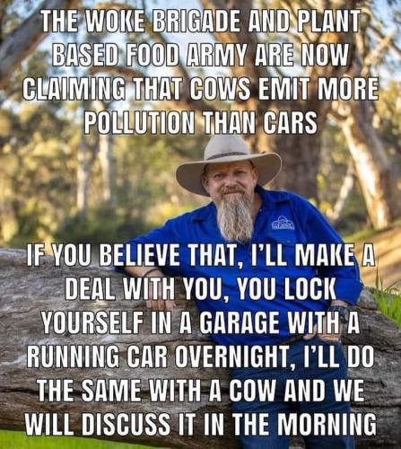 289226567_140496381916253_2420157189020652266_n