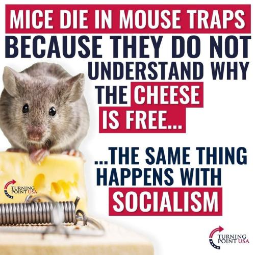 FB_IMG_1655150302801