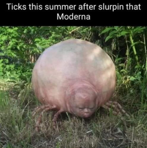 289302864_1154437628467098_2704133875843558851_n